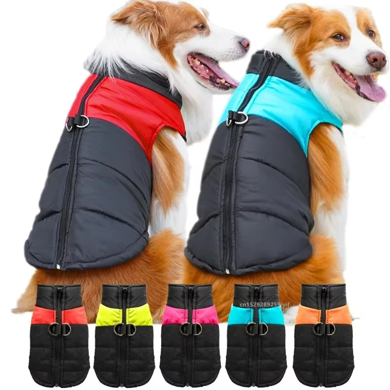 Wasserdichter Hundemantel für den Winter | Pfotenglück