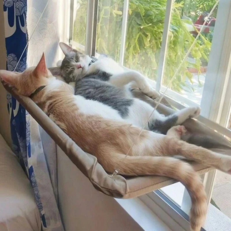 Katzen-Fensterliege mit Saugnäpfen – Ansicht 3 | Pfotenglück