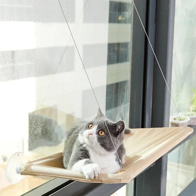 Katzen-Fensterliege mit Saugnäpfen – Ansicht 5 | Pfotenglück