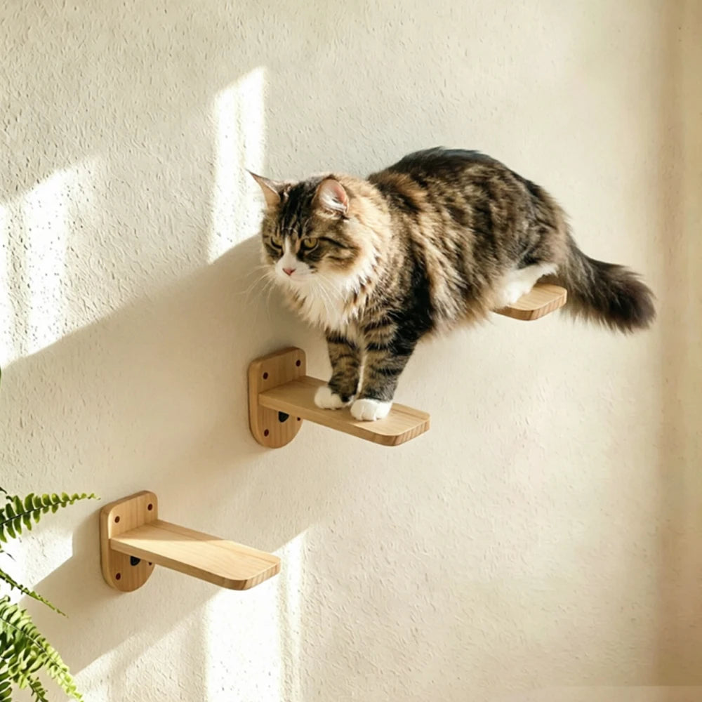 Katzen-Wandregal aus Massivholz – Ansicht 4 | Pfotenglück