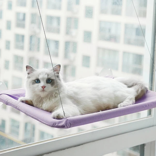 Katzen-Fensterliege mit Saugnäpfen – Ansicht 10 | Pfotenglück